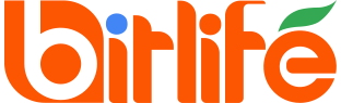 Bitlife Tech Solutions